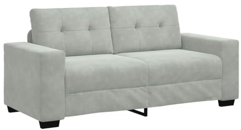 vidaXL Zweisitzer-Sofa Hellgrau 180x77x82 cm Samt