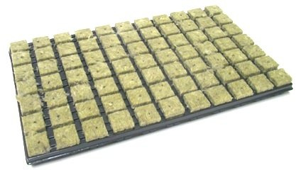 Grodan Steinwolle Anzuchtmatte 77er Tray 3,6 x 3,6 cm