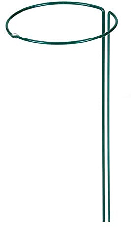 Siena Garden Tige d'arrosage Vert laqué 70 cm/6 mm