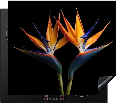 KitchenYeah© Protection Plaque Induction Protege Décoration Cuisine Cache | 60x52 cm - Protège De Cuisson Accessoire Plantes - Fleurs - Fleur d'oiseau de paradis - Portrait - Noir