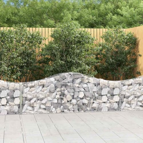 CKioict Porta piante da interno Vasi alti da esterno Fioriere da esterno grandi Cesti Gabbioni ad Arco 2 pz 200x30x60/80 cm Ferro Zincato Per Piante,Fiori,Frutta e Verdura