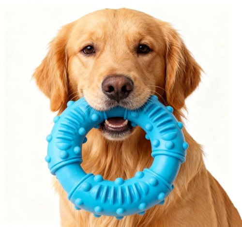 EclipseGuard Jouet pour Chien, Jouet pour Chien Indestructible en Caoutchouc pour Les mâcheurs puissants, Jouet à mâcher pour Chien, Anneau de Soin Dentaire Denta Fun (Bleu)