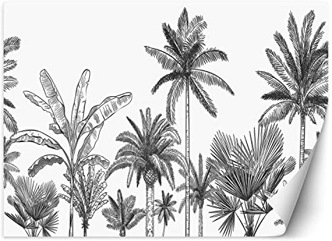 Feeby Papier Peint Intissé Exotisme Palmes Tropiques Esquisse 450x315 cm noir et blanc XXL Moderne Décoration Murale Tableaux Muraux Tapisserie Salon Chambre à coucher Feuilles Jungle Abstraction