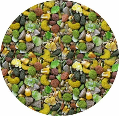 Rat Food 10kg 5kg 3kg 2kg 1kg 500g Mixed Complete Muesli Food For Rats (5kg)