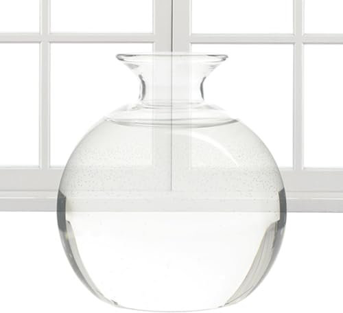 Yhsioaklo Avocado Anzuchtvase - Elegante Vase Übertopf | Glasvasen - Baumzuchtvase | Glaspflanztopf | Klare Hitzebeständigkeit für Gartenliebhaber