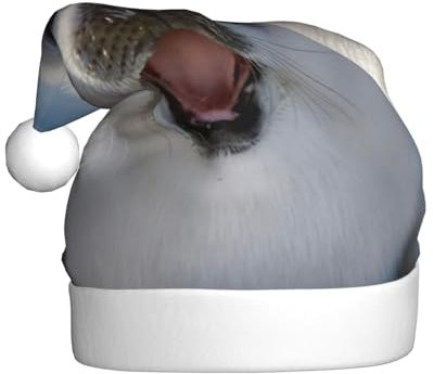 MMSJSBVY Harfen-Siegelmalerei-Tapete, Weihnachtsmütze, Weihnachtsmannmützen, Unisex-Hüte, Neujahrsfeiertag, Partyzubehör