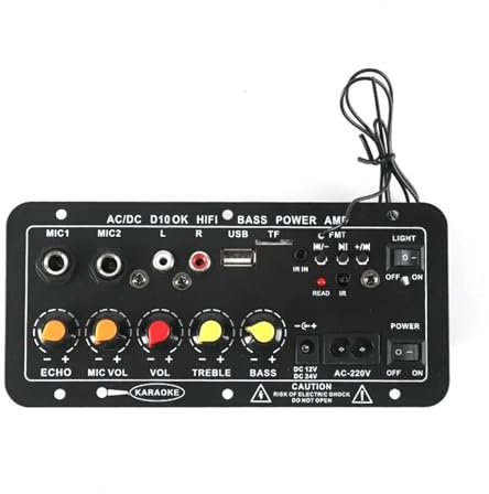 Scheda amplificatore digitale Subwoofer Doppio microfono Amplificatore Altoparlante Home Theater Versione ricaricabile fai-da-te