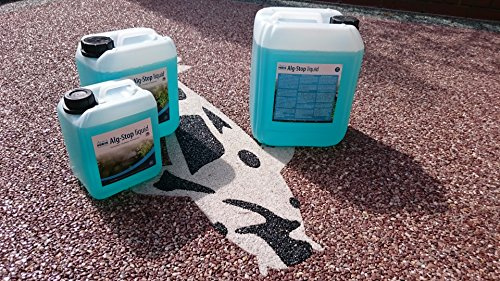 AquaForte - Alg-Stop Anti-Fadenalgenvernichter flüssig, 10 Liter