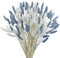 Barlone 120 piezas de hierba de las Pampas pequeñas, hierba de cola de liebre seca, hierba de las pampas, flores secas blancas y grises, flores secas, hierba de pampas, para decoración de salón, boda