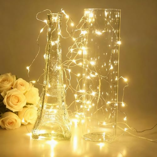 Timewanderer Warm White Led String Starry Fairy Light AA Battery Operated 3M/10Ft 30 Bright Micro LED Lights Ultra Thin Decorative Lights Silver Wire for Home Decoration DIY