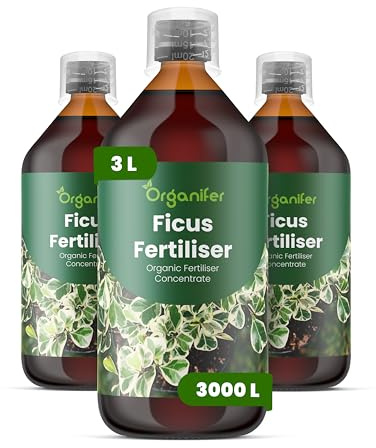 Organifer Ficus Flüssigdünger, 3L, Organisch, für Gesunde Blätter und Wurzeln, Zimmerpflanzen und Bonsai