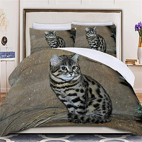 TMMDH Bettwäsche 140x200 Tabby-Katze Tier Bettwäsche Set+2 80x80 cm Kissenbezug Reißverschluss,Weich Betten Set Für Jugendliche Kinder Schlafzimmer Dekor