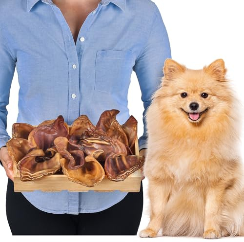 Lovely Dog Orejas de cerdo para perros, 20 unidades, tamaño S (600 g), orejas de cerdo secas enteras, 100% naturales, diversión masticable de larga duración, sin cereales, ideal para perros pequeños y