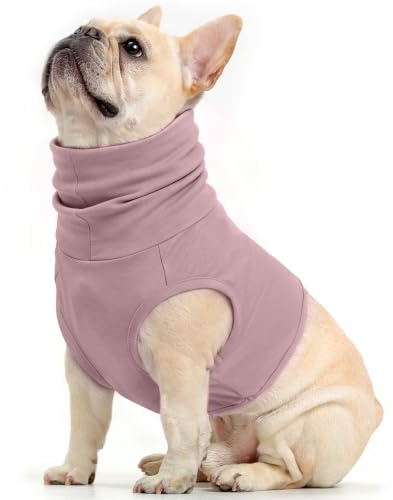 Tour de Cou pour Chien, Protection Cou Snood Combinaison de Récupération Cache Hématome d'oreille Chien Shirt(Violet, M)