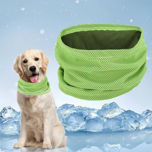 Kühlhalsband für Hunde, Kühlendes Halstuch Hund, Atmungsaktiv Hund Halstücher Kühlend Wärmeableitung Bandana Hunde Cool Komfortabel Kühlhalsband für Sommer (Grün-M)
