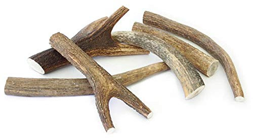 Corna di Cervo X-Large per Cani 220g Ferribiella