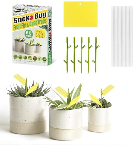 Katcha Sticka Bug - Fruit Fly Killer Fungus Gnat Killer Multi Insect Trap Yellow Sticky Bug Insect Killer Double-sided Sticky Insect Catcher for Indoor and Outdoor Houseplants (60 Pieces)