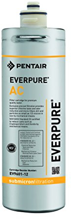 Everpure AC EV9601-12 Ricambio Filtro Acqua