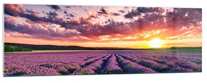 Panorama Bilder auf Glas 160x50cm Glasbild Lavendel Berge Feld Groß XXL Wanddeko Bild im Glas Schlafzimmer Küche Wandbilder Dekoration Wohnzimmer Modern Wall Decor Wand Kunstdruck Art GAB160x50-3816