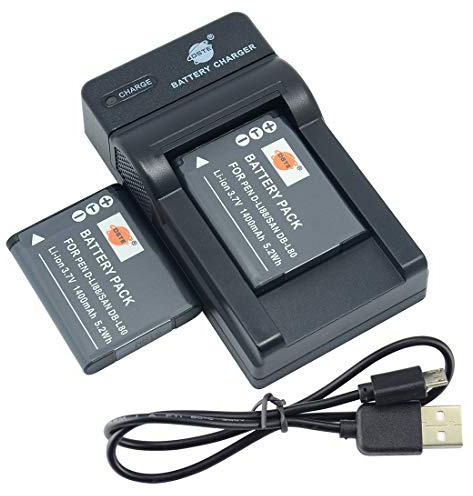DSTE 2PCS D-LI88 Batterie et Chargeur Compatible avec DMX-CG10 DMX-CG100 DMX-CG11