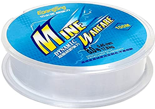 Hiscate Fish Line - Nylon Thread Fishing Wire (Clear, Blue 8.0)