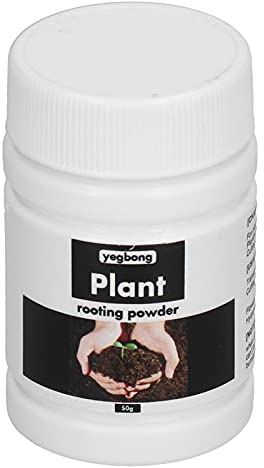 Hztyyier 50g di Radice di Polvere Ormone Radice Fertilizzante Pianta Alimenti per Le Radici per Piante di Casa Trapianti Accelera Lo Sviluppo delle Radici Other Gardening Supplies