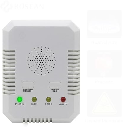 Rilevatore di gas, Rilevatore di perdite gas naturale CO combustibile monossido carbonio Allarme Determina Tester for casa con valvola per lavoro, casa(DN20)