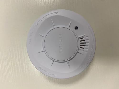 LIORQUE Détecteur de Fumée, Capteur 10 Ans, Pile Remplaçable 5 Ans de Batterie, Bouton Test/Silence, 85 DB, Conforme à la Norme EN14604, Blanc, 1 pièces