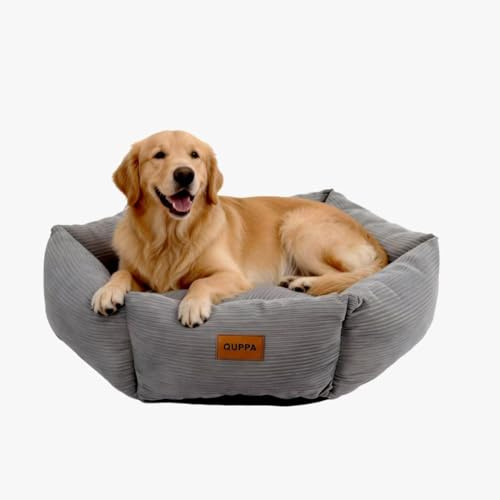 Quppa Ganzjährig Donut-Hundebetten Katzenbett mit Hoher Umrandung, Waschbares Flauschig, Rutschfestes, Rundes Hundebett für Kleine Mittelgroße Hunde,Grau 75 * 15CM
