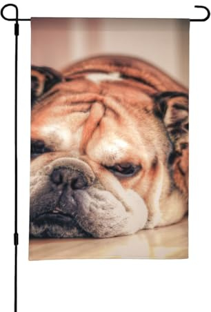 Bulldog inglese,Bandiera da giardino per esterni e interni, stendardo decorativo bifacciale 30x45 cm