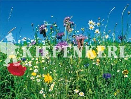 Reine Wildblumen und Kräutermischung 100gr