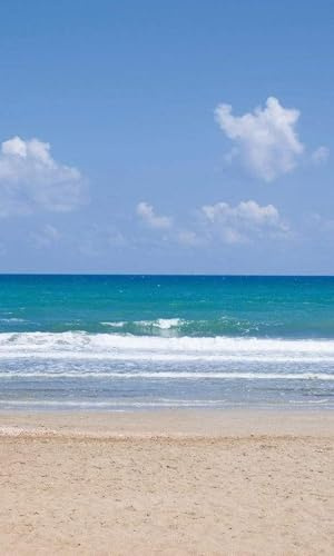 Fotomural PLAYA VACÍA 150 x 250 cm | Papel Pintado Fotográfico - tejido no tejido | CALIDAD PREMIUM - HECHO EN LA UE - Incluye pegamento para papel tapiz