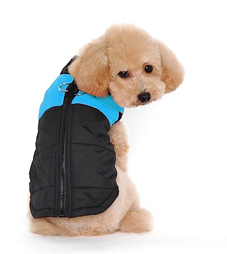 Ectkuee Winter Warm Pet Hund Kleidung klein wasserdichte Hundemantel Jacke Winter Gesteppt Gepolstert Puffer Pet Kleidun g