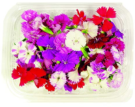 Fleurs comestibles BIOLOGIQUES – 60 DIANTHUS de couleurs rose, rouge, violet dans un récipient alimentaire de 16 cm x 13 cm x 1,5 cm – cultivées en Toscane par l'entreprise agricole Carmazzi