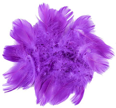 HaiMay 450 Pieces Purple Feathers for Craft Wedding Home Party Decorations, 3-5 Inches Purple Craft Feathers