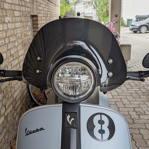 Motorrad Windschutzscheibe Windschild Mit Halterung für GT200 GTS250 GTS300, Windschutz Windabweiser (Schwarz)
