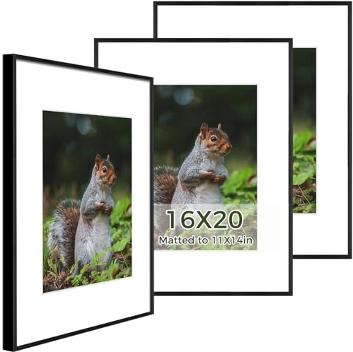 Golden State Art 16x20 Picture Frames 3 Pack with Real Glass & Removable Mats - Aluminum Frame for 16x20 Printsor 11x14 Photos with Mat - Black Gallery Wall Frames for Home Office Decor