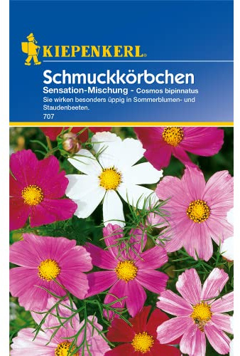 Schmuckkörbchen, 'Sensations-Mischung'