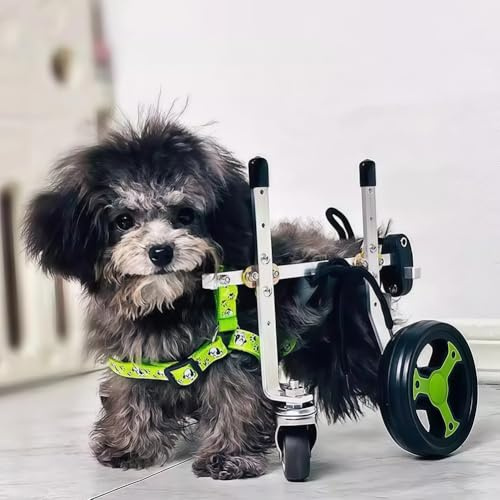 SAYEYBU MobilitäTshilfen FüR Hunde, Rollstuhl Mit Voller UnterstüTzung 4-Rad-Beinschiene Rehabilitationswagen FüR Hunde Mit Hinterbeinbehinderung Hunde Beim Aufstehen UnterstüTzen,A,3XS