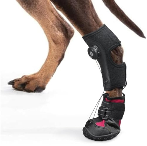 Hamwesh Tutore per Piede Cadente per Cani, Tutore per Gamba per Stivale per Cane per Supporto Gamba, Scarpe Correttive per Cani per Sollevare in Sicurezza le Dita dei Piedi per Problemi (M)