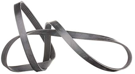FEBI BILSTEIN 28881 Keilrippenriemen