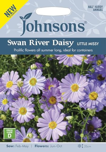 Johnsons Swan River Daisy Little Missy Seeds
