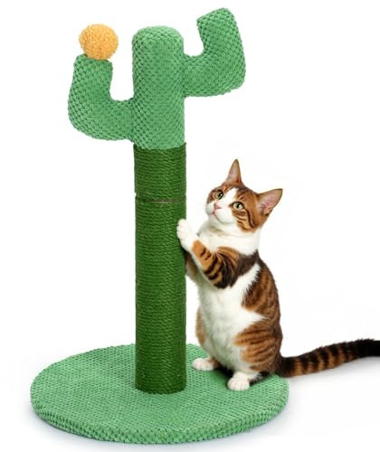 Happy & Polly Rascador para Gatos Cactus 50 cm - Poste en Cuerda de Yute Natural Con Base Estable para Gatitos y Adultos en Interiores - Verde
