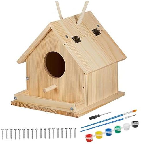 Kit de maisons d'oiseaux en bois à peindre et à construire, peinture en bois projets de construction projets d'activités amusantes arts et artisanat avec pinceau, tournevis, vis montage 6 coule