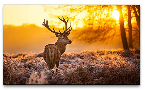 Paul Sinus Art Bilder XXL Hirsch im Wald 120x70cm Wandbild auf Leinwand