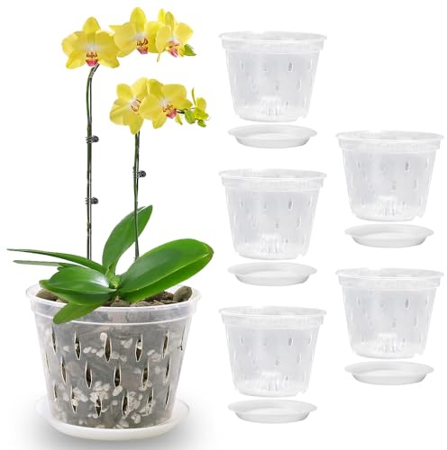 ZOYDP Lot de 5 pots à orchidées en plastique transparent de 14 cm avec trous et soucoupes - Pots de fleurs d'intérieur respirants pour toutes les plantes d'intérieur