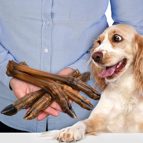 Deer Legs Dog Chews 5 Pieces | natural dried dog snacks without fur