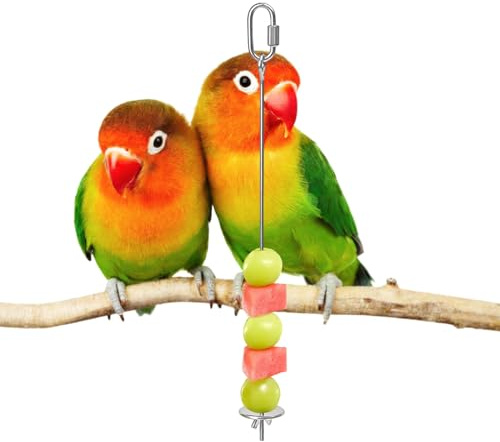 Rostfritt fågelgodis spett – 28 cm grönsakspinne, matmatmatmatare för burar, upphängningsbar med krokar | engagerande mellanmål och föddestillbehör för kakaduor conures nymfparakiter