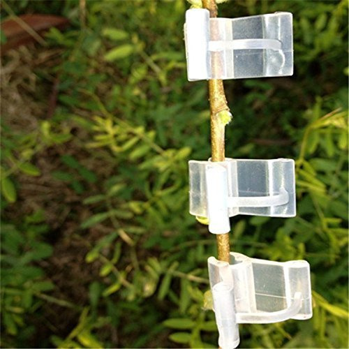 KINGLAKE 100 Stück Veredelungsclips Veredelungsklammern, Veredlungsclips Veredelungsset Klein für Tomaten gurken, Mini Pfropfclip Pflanzenclip Gartenpfropfwerkzeug