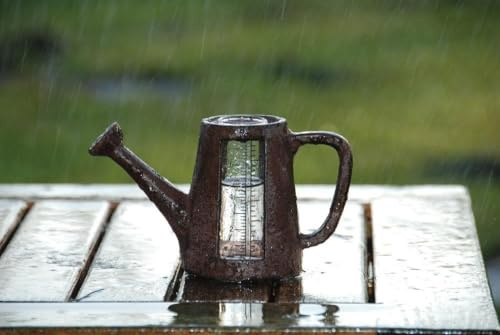 World of Weather Pluviomètre Arrosoir en Fonte - Marron - H 17,4 Cm